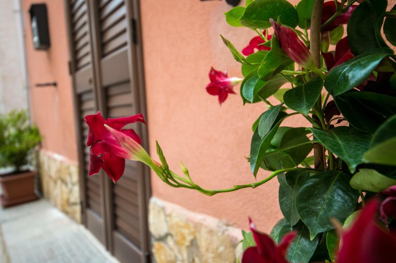 'A Cumerdia - Casa Vacanze Castellammare del Golfo Exteriör bild